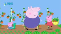 Peppa Wutz Folge 34 Salat
