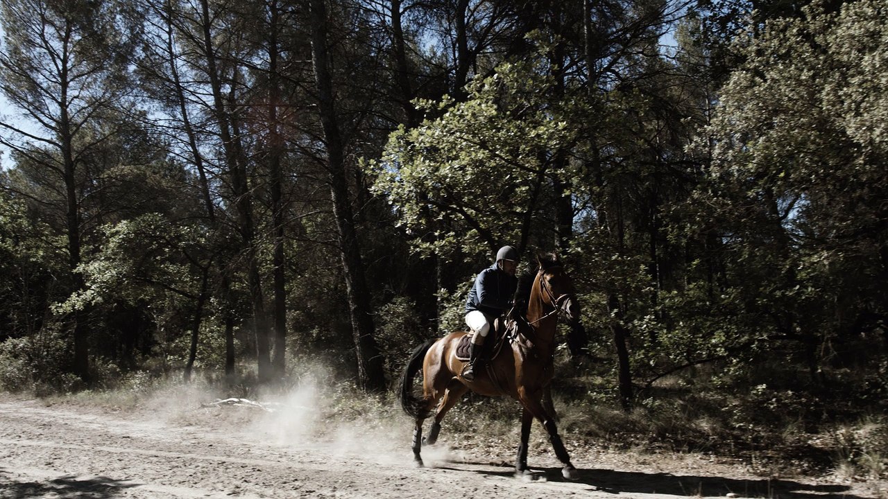 HD_Horse_Pilot_Pub_30_secondes