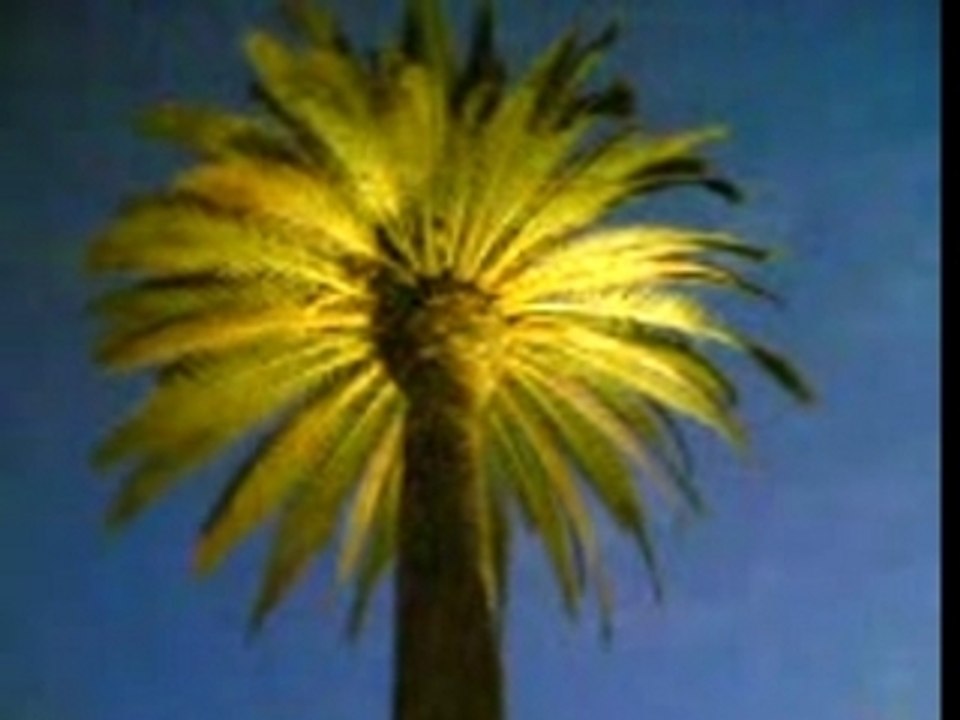 hssayne