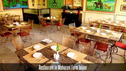 Restaurant in Maharani Farm Jaipur