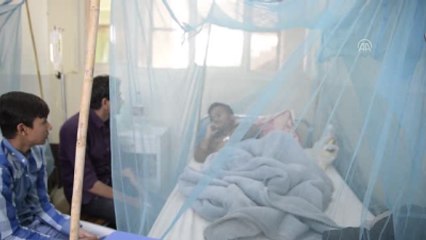 Pakistan'da Dang Humması Salgını - Ravalpindi