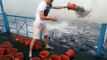 Cet homme jette de la nourriture dans l'eau, ce qui se passe quelques secondes après est effrayant !