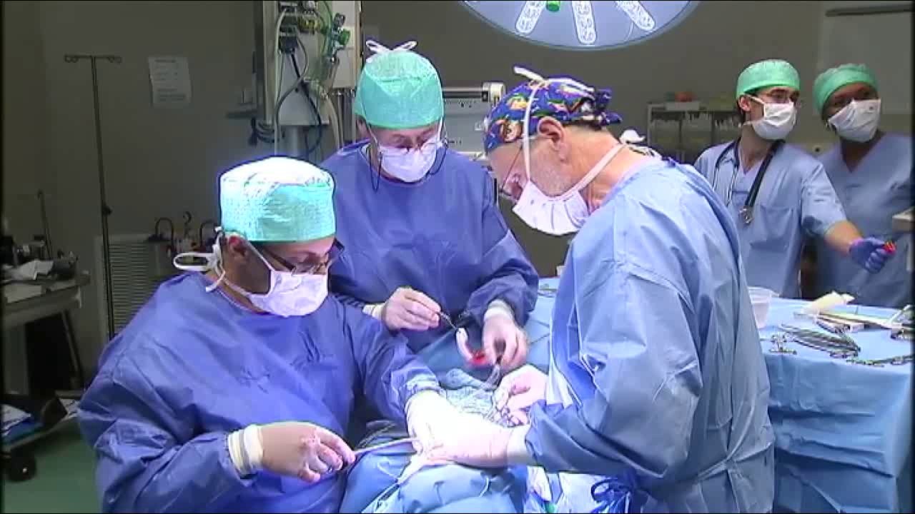 Don d'organes et de sang grâce au Télédon 2017 et les télévisions locales