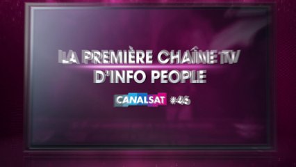 Jean-Jacques Goldman, Arthur... Ces stars qui quittent la France (VIDEO)