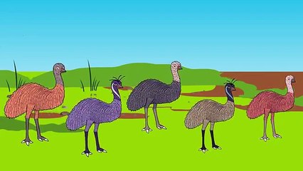 Finger Family Epic Battles Crazy Ostrich Vs Emu | Finger Family Nursery Rhymes