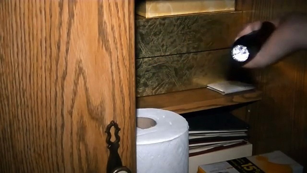 Five Nights at Freddy's_ 1983                                                             FNAF Sister Location song animation