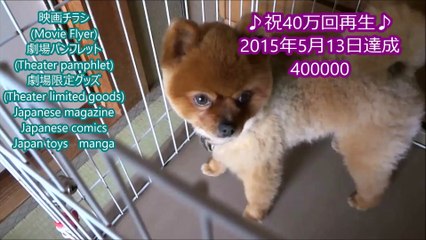 闇金ウシジマくん ザ・ファイナル 劇場限定グッズ(1)