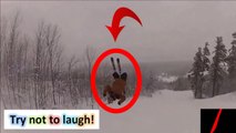 fail compilation  funny fails  funny pranks  funny wins  russians #52