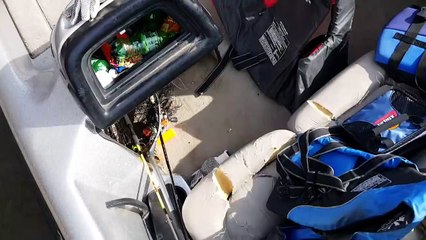 Un pêcheur remarque que quelque chose bouge dans les buissons, lorsqu'il s'approche, il découvre ça!