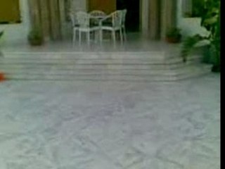 Barak du bled en tunisie