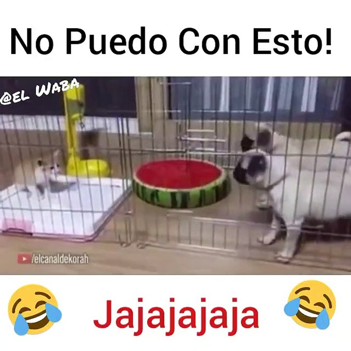 Cuando te sientes muy cabron