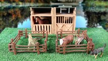 [ko] Let's Make a village of animals  (pig, chinchilla, wild boar, horse, dog)  kids education-XZz8onjJ85A