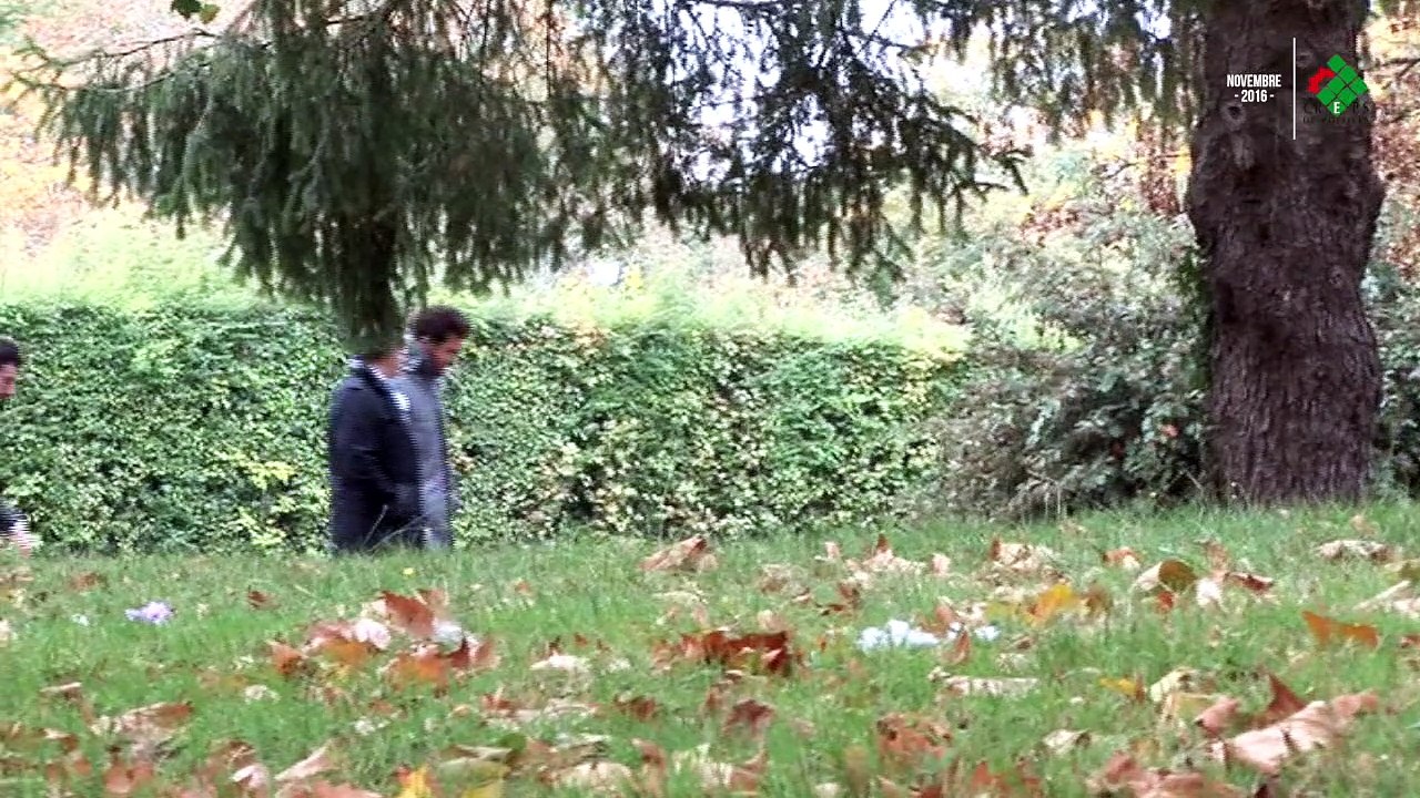 La Minute Sport / Jo-Wilfried TSONGA, retour aux sources