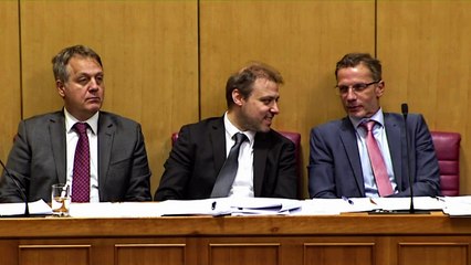 Pernar Vujčiću: "Pas Medo je osuđen i kriv je, a vi niste krivi."