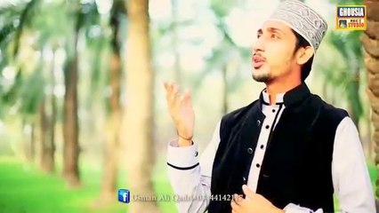 Dil Mera Madinay Wich Reh Gia by muhammad usman ali qadri new album 2016