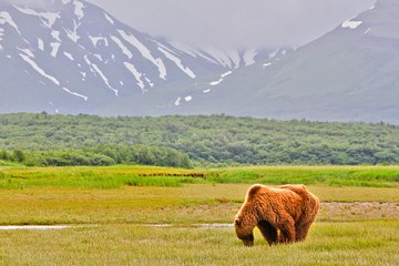Katmai National Park