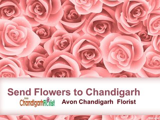 Send Flowers to Chandigarh