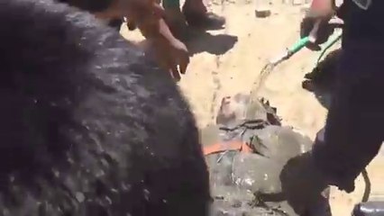 Un homme ivre repêché dans une rivière