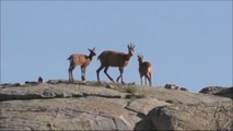 Traversée des Pyrénées - 10ème épisode