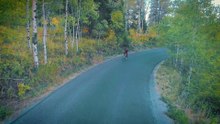 Ils créent des pneus de vélo sans air et increvables. Cool !