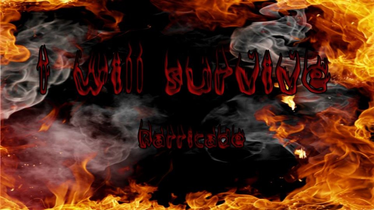 I will survive n°5 - Barricade