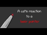 Laser Pointer Gets the Better of Confused Cat