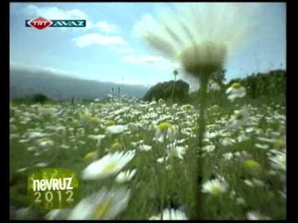 Türk Dünyasında Nevruz | TRT AVAZ