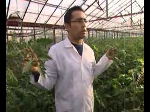 Bizim Kampüs- Çukurova Üniversitesi- TRT Okul