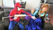 Pregnant Frozen Elsa vs Pregnant Frozen Anna Sick vs Spiderman Doctor Hulk Superhero Fun