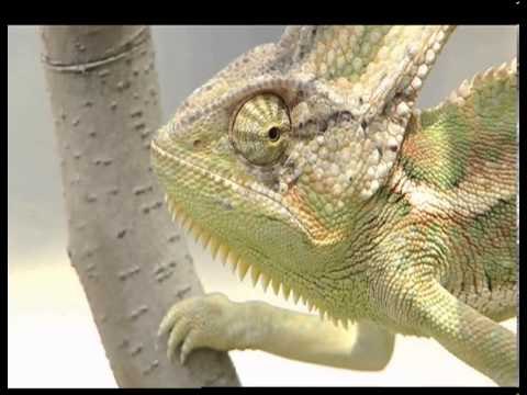 Bir Evde 9 Ocak Çarşamba 21.15'te TRT Okul'da...