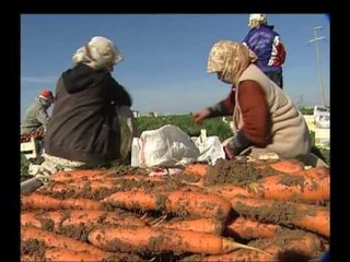 Tarım Gıda Yaşam 17 Aralık 2012 Bölüm Tanıtımı...