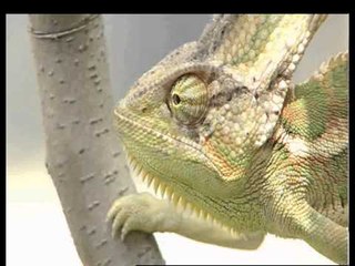 Bir Evde 17 Kasım 2012 Bölüm Tanıtımı - TRT Okul