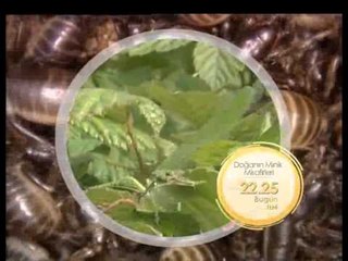 Doğanın Minik Misafirleri 22.25'te TRT Okul'da...