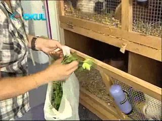 Bir Evde 7 Kasım 2012 Bölüm Tanıtımı - TRT Okul