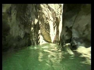 Hayvan Hikayeleri Yakında TRT Okul'da...