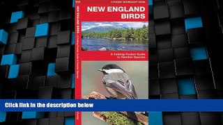 Deals in Books  New England Birds: A Folding Pocket Guide to Familiar Species (Pocket Naturalist