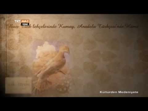Hüma Kuşu Nedir? - Türk Töresi - Kültürden Medeniyete - TRT Avaz