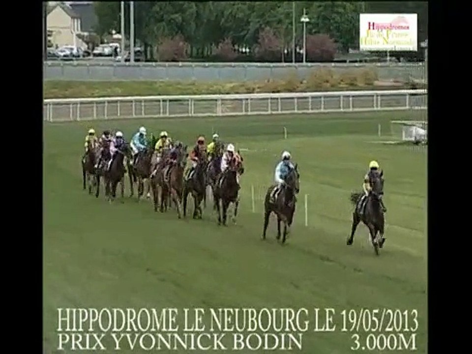 rhum barbes 2013 maintenant cheval de selle