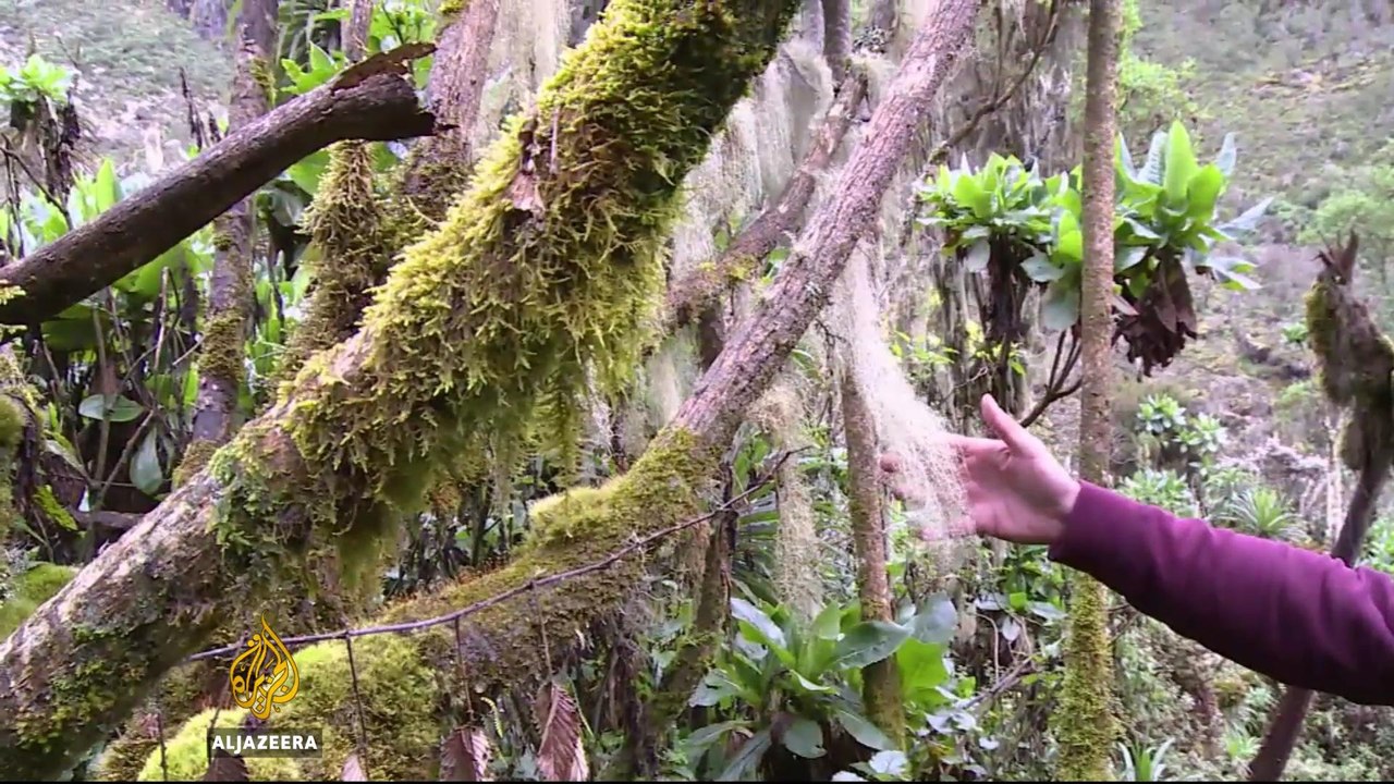 Close look at Uganda disappearing glaciers