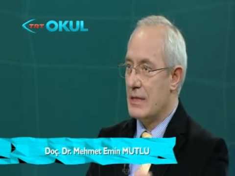 Temel Bilgi Teknolojileri 2 - 5. Ders - Açık Sınıf - TRT Okul