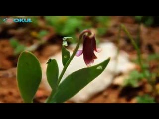 Zor Yollar - 13. Bölüm Fragman - TRT Okul