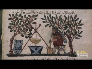 Endülüs İmparatorluğu - 8. Bölüm - TRT Okul