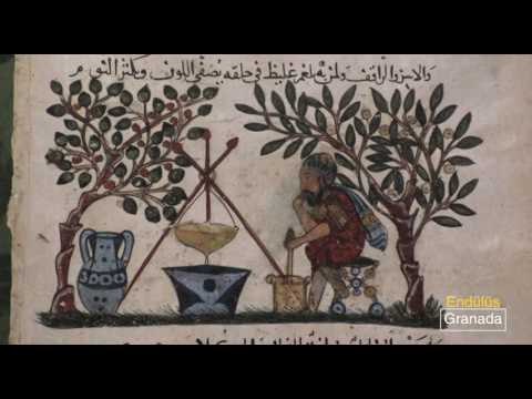 Endülüs İmparatorluğu - 8. Bölüm - TRT Okul