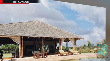 Turista italiano pisoteado até a morte por elefante enfurecido.