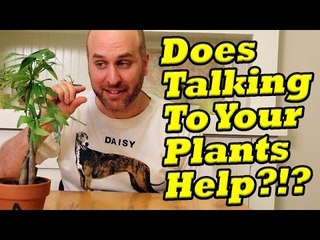 Plant Talk: Does talking to your plants help them grow?