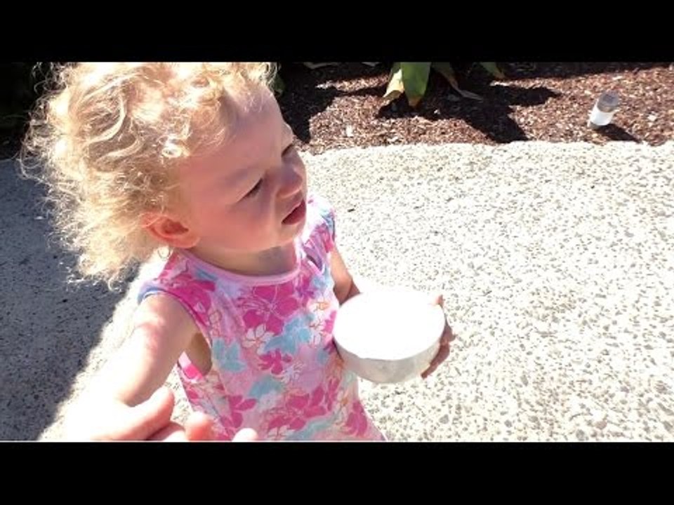 PICKING FRUIT WITH AYLA