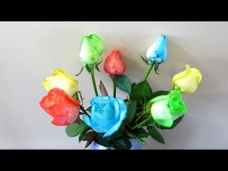 HOW TO MAKE RAINBOW COLOURED ROSES