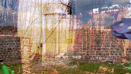 Rhythm Think Rhythm Fields