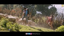 Dhruva Back 2 Back Video Song Teasers | Ram Charan Rakul Preet - Filmyfocus.com