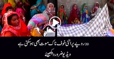 Young boy killed due to only 20 Rs in Tando wali Yar